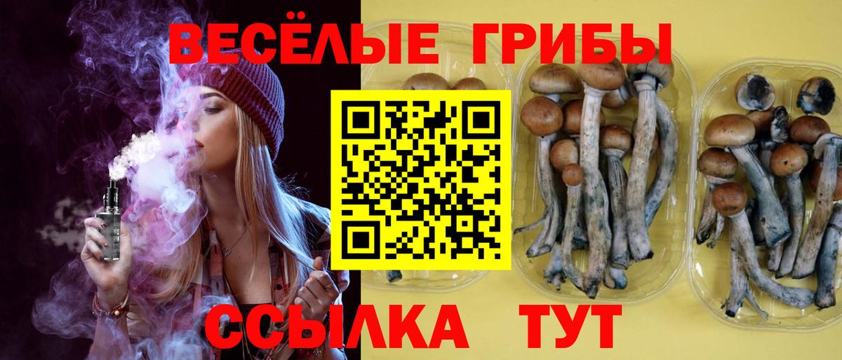 Озёрск  Галлюциногенные грибы MAGIC MUSHROOMS  Вход с VPN 
